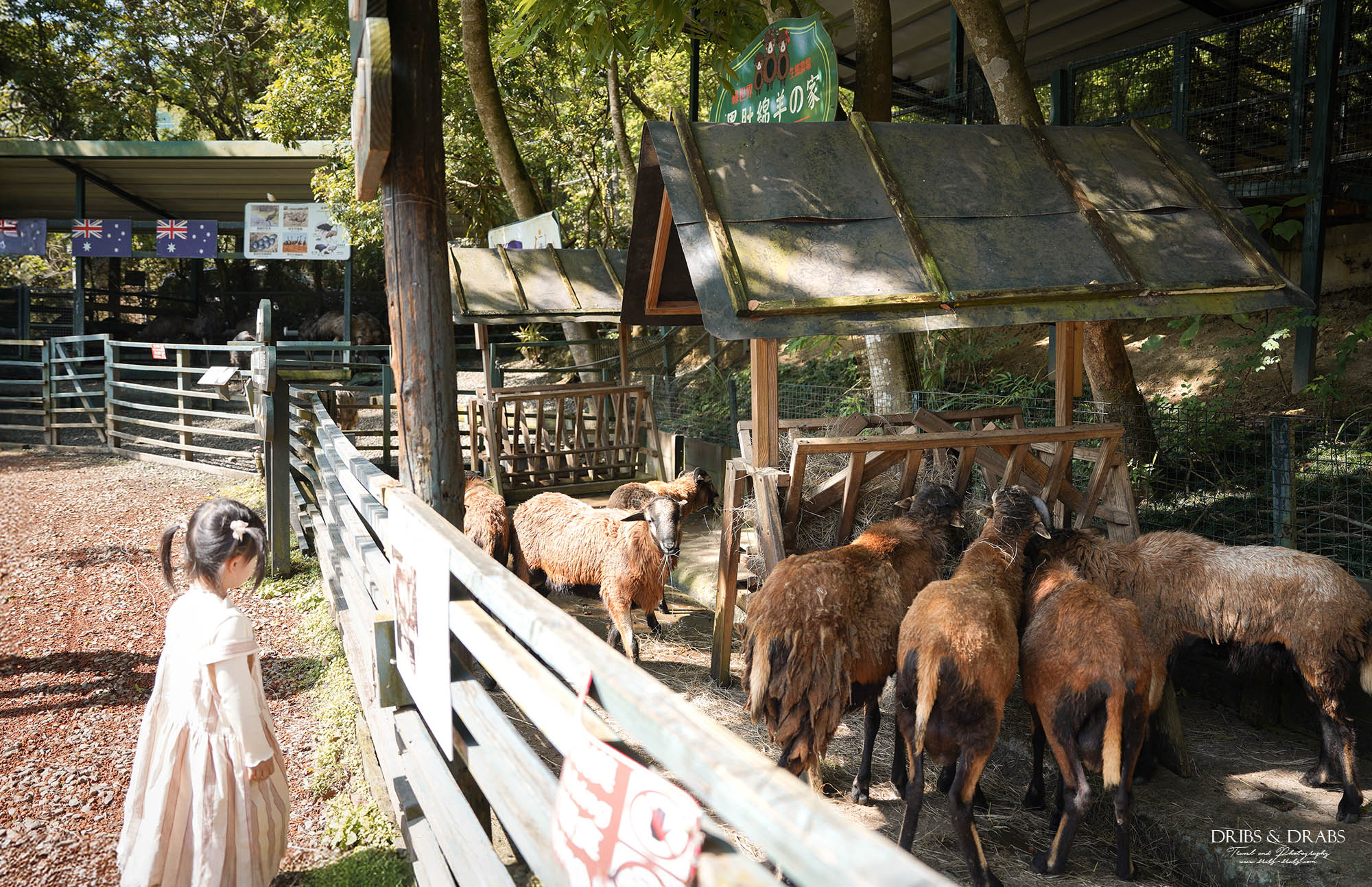 新竹北埔綠世界生態農場｜新竹親子景點推薦，超萌動物體驗、活動表演時刻表