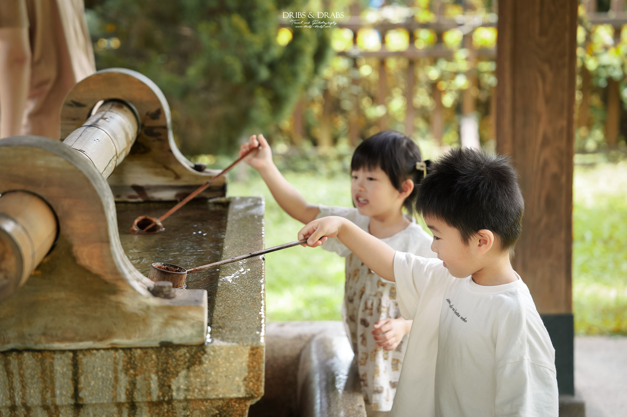 桃園神社、桃園忠烈祠暨神社文化園區｜全台保存最完整的日式神社景點，穿越昭和時代的歷史文化秘境