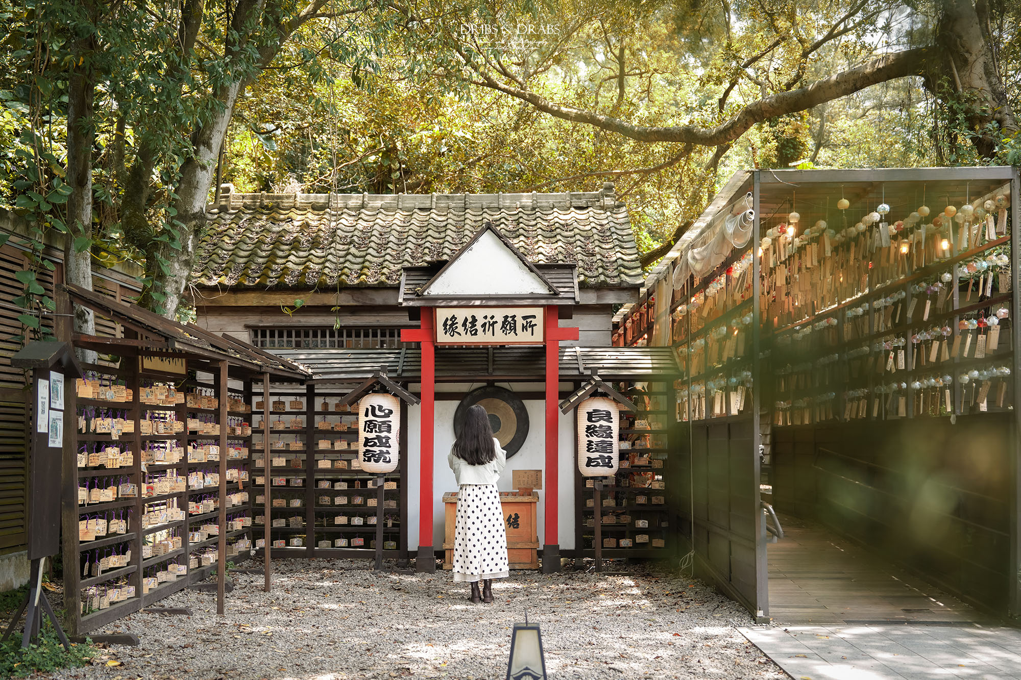 桃園神社、桃園忠烈祠暨神社文化園區｜全台保存最完整的日式神社景點，穿越昭和時代的歷史文化秘境