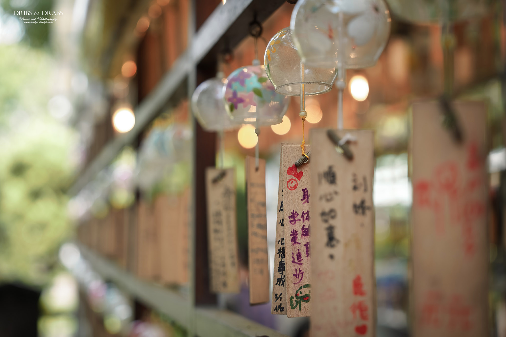 桃園神社、桃園忠烈祠暨神社文化園區｜全台保存最完整的日式神社景點，穿越昭和時代的歷史文化秘境