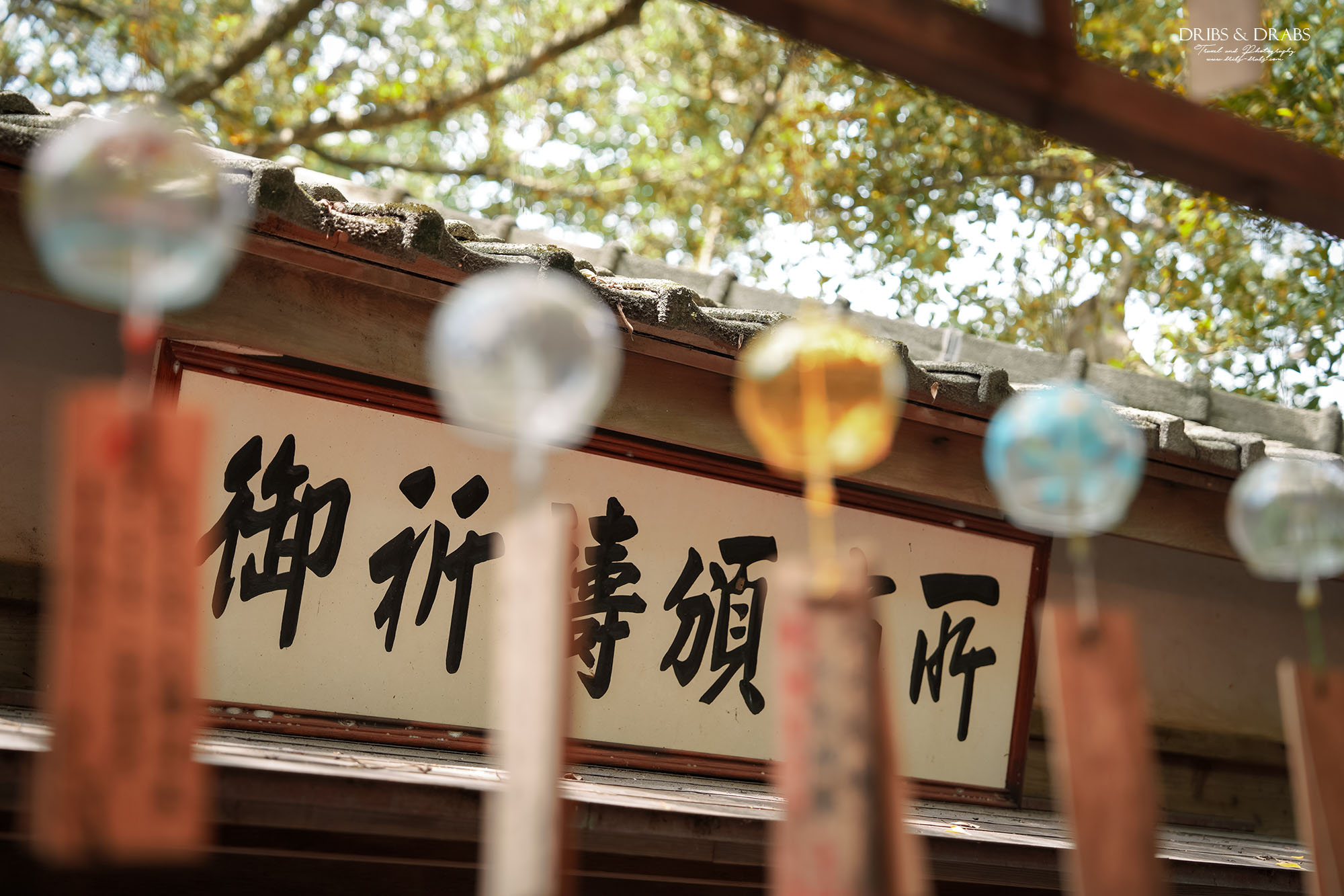 桃園神社、桃園忠烈祠暨神社文化園區｜全台保存最完整的日式神社景點，穿越昭和時代的歷史文化秘境