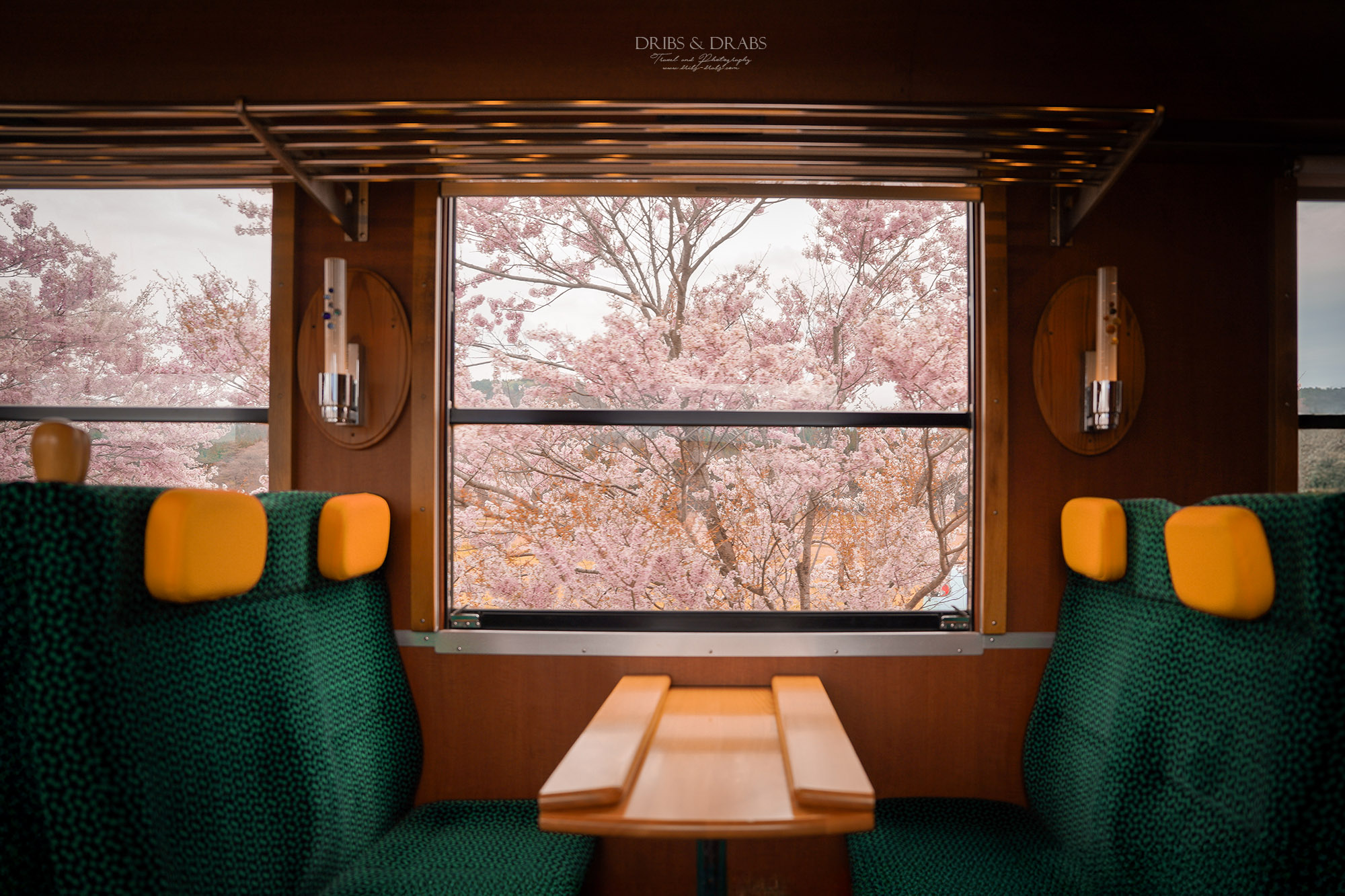 日本秋田由利高原鐵道｜鳥海山觀光列車體驗，充滿童趣的鳥海玩具列車，穿梭櫻花田園風景