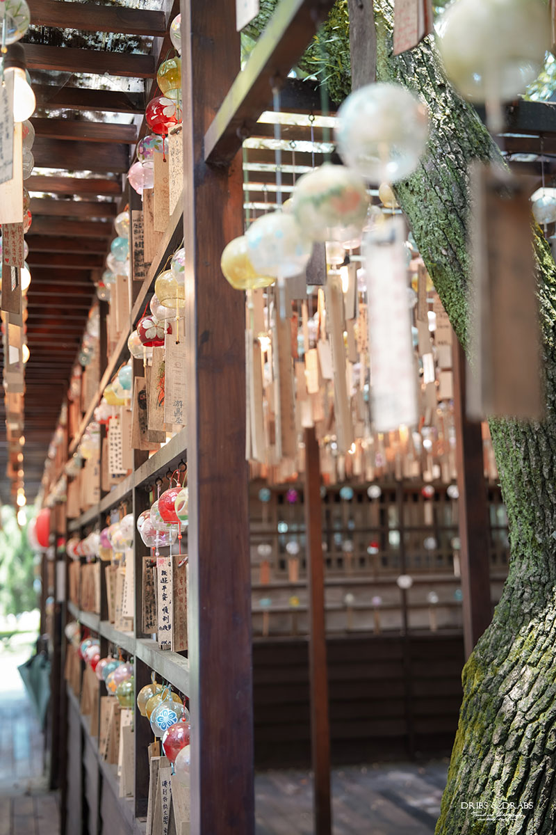 桃園神社、桃園忠烈祠暨神社文化園區｜全台保存最完整的日式神社景點，穿越昭和時代的歷史文化秘境