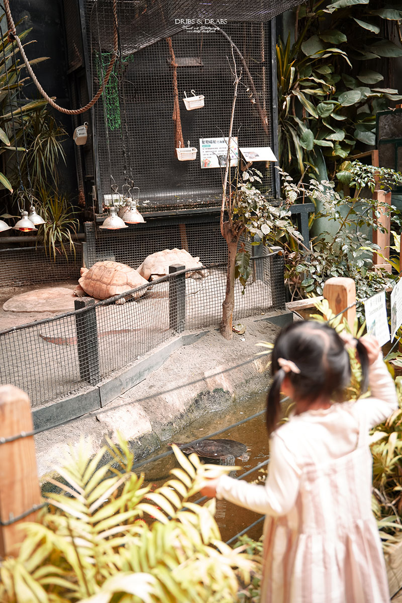 新竹北埔綠世界生態農場｜新竹親子景點推薦，超萌動物體驗、活動表演時刻表