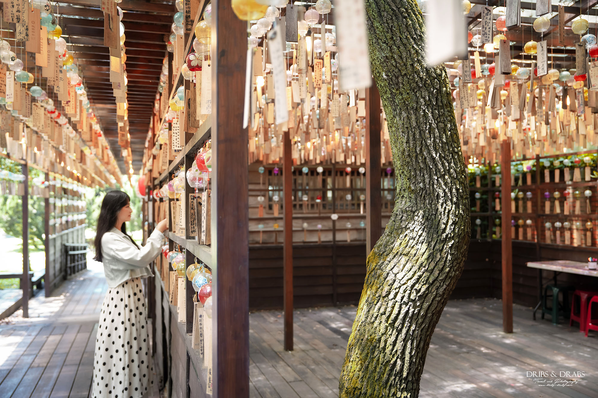 桃園神社、桃園忠烈祠暨神社文化園區｜全台保存最完整的日式神社景點，穿越昭和時代的歷史文化秘境