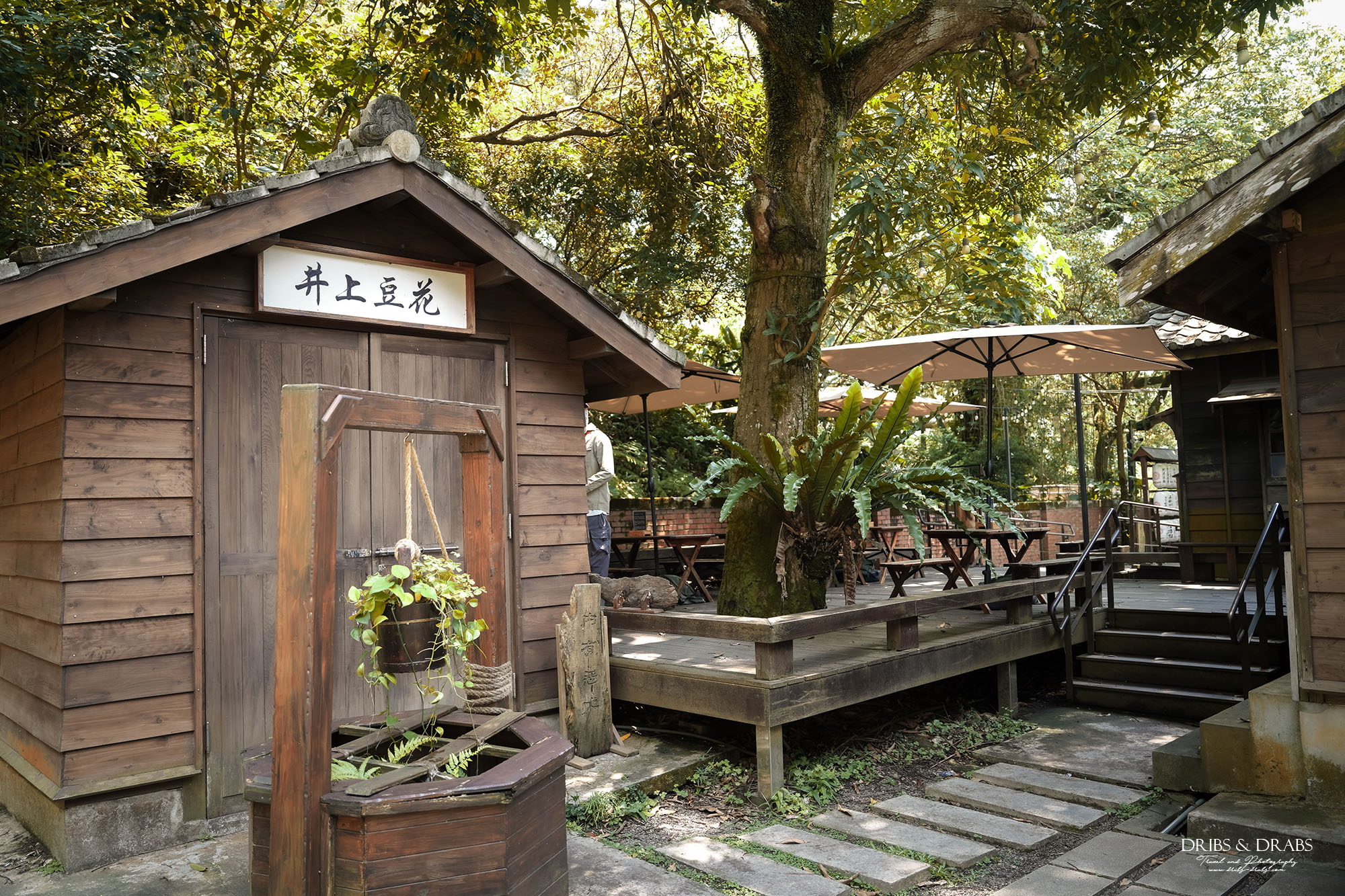 桃園神社、桃園忠烈祠暨神社文化園區｜全台保存最完整的日式神社景點，穿越昭和時代的歷史文化秘境