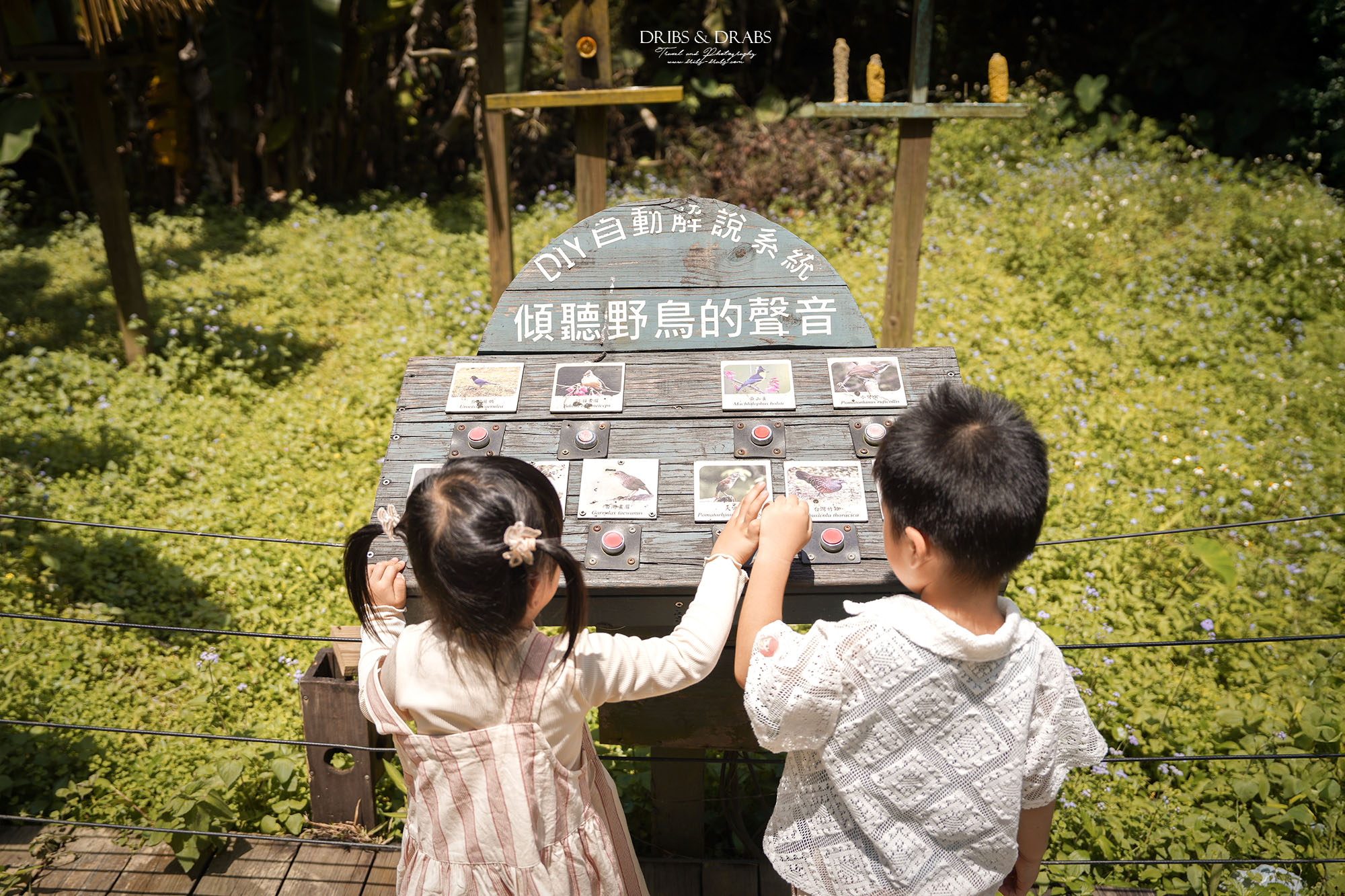 新竹北埔綠世界生態農場｜新竹親子景點推薦，超萌動物體驗、活動表演時刻表