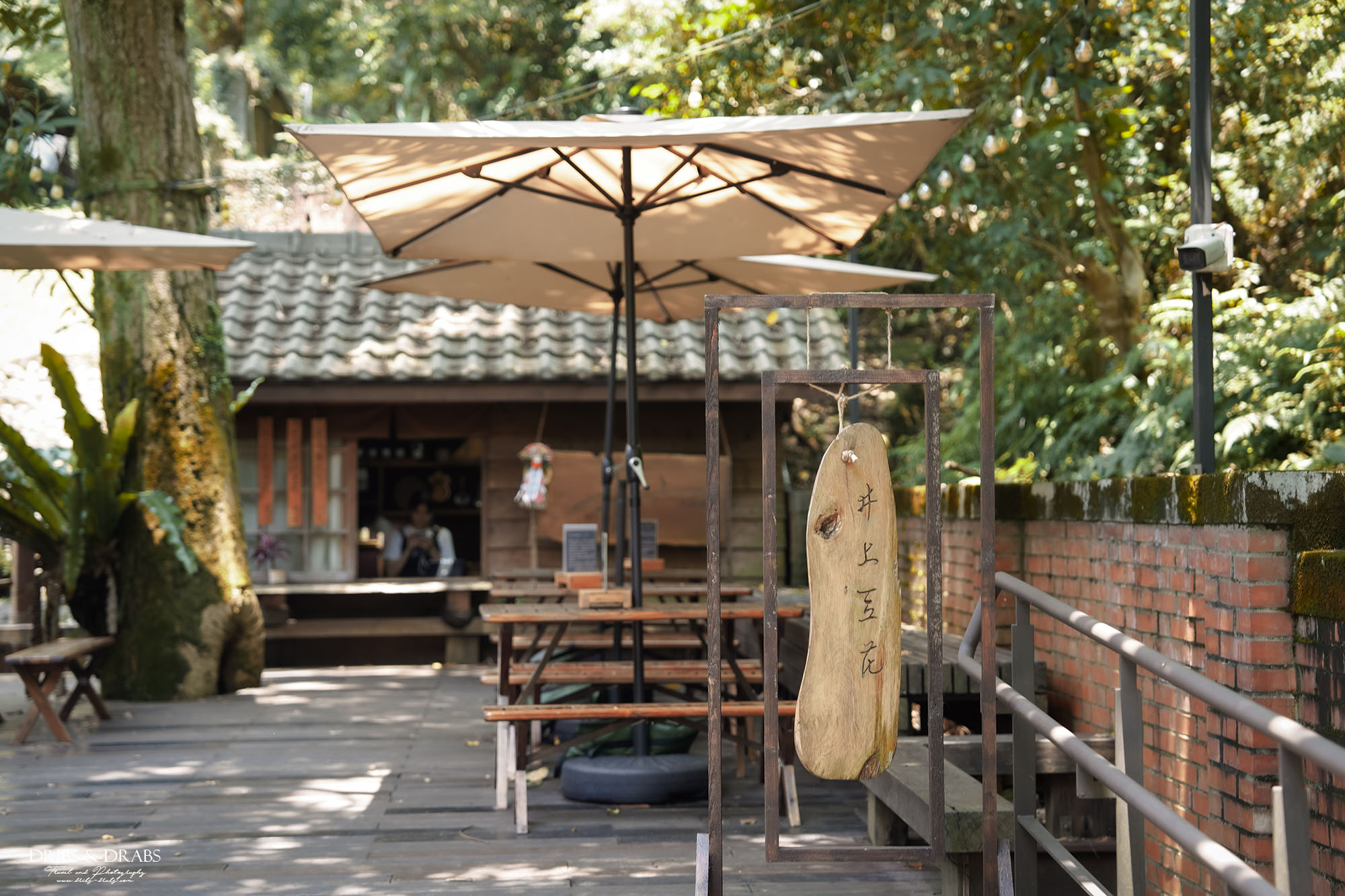 桃園神社、桃園忠烈祠暨神社文化園區｜全台保存最完整的日式神社景點，穿越昭和時代的歷史文化秘境