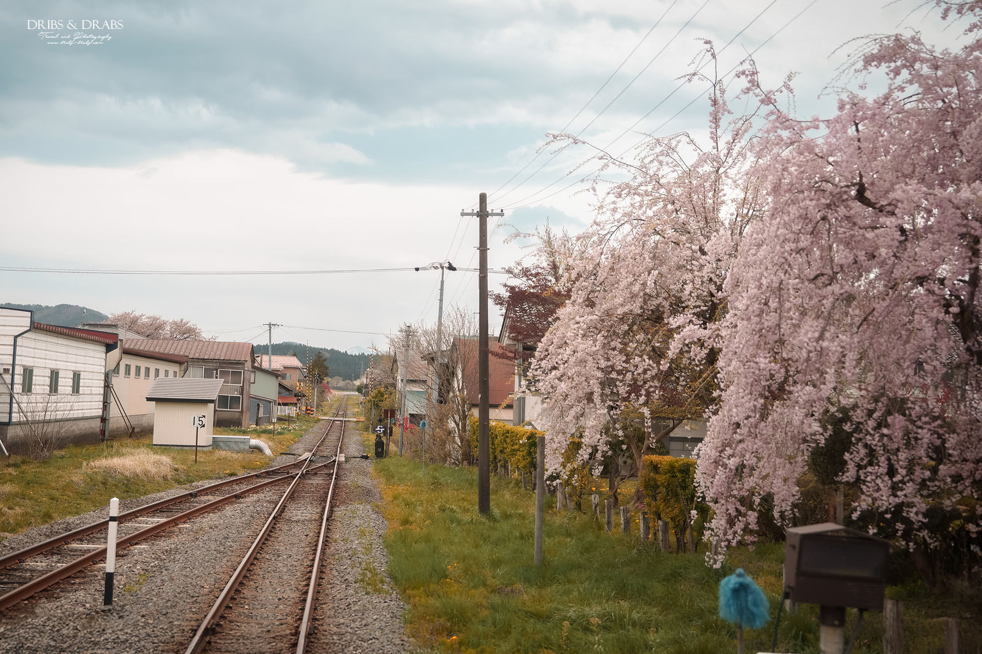 日本秋田由利高原鐵道｜鳥海山觀光列車體驗，充滿童趣的鳥海玩具列車，穿梭櫻花田園風景