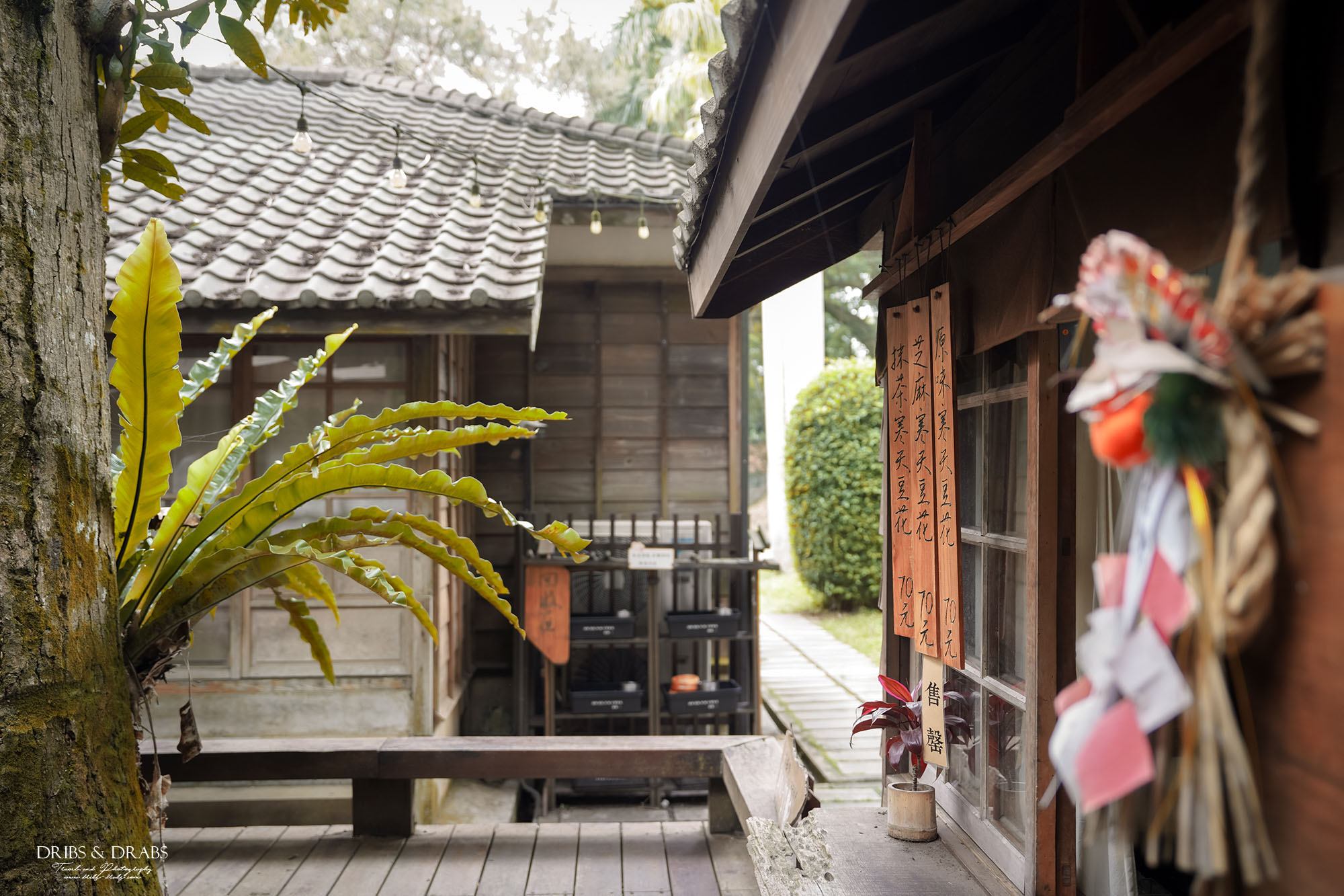 桃園神社、桃園忠烈祠暨神社文化園區｜全台保存最完整的日式神社景點，穿越昭和時代的歷史文化秘境