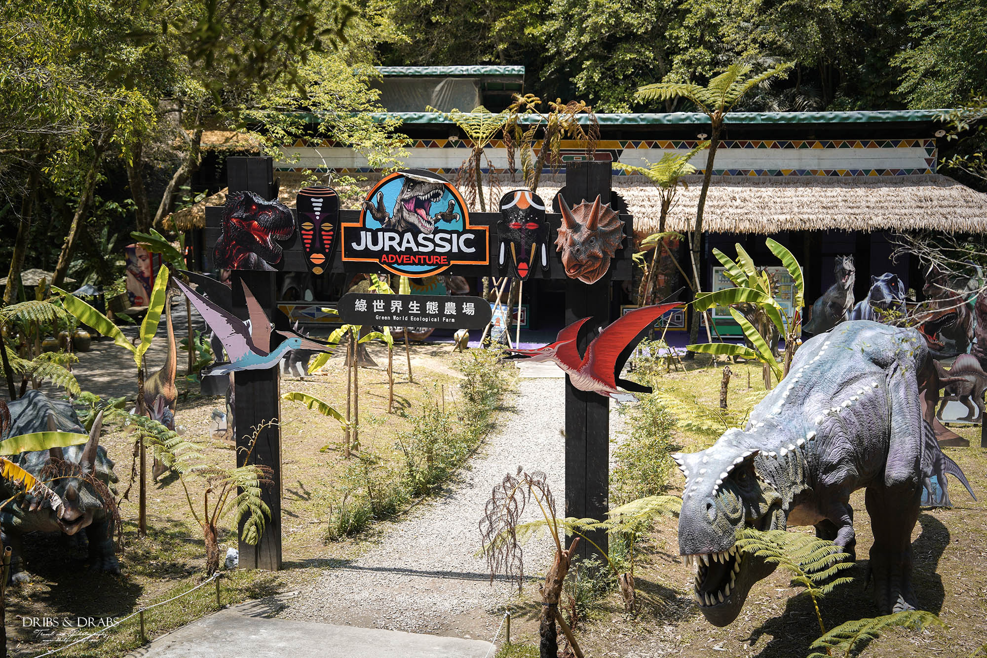 新竹北埔綠世界生態農場｜新竹親子景點推薦，超萌動物體驗、活動表演時刻表