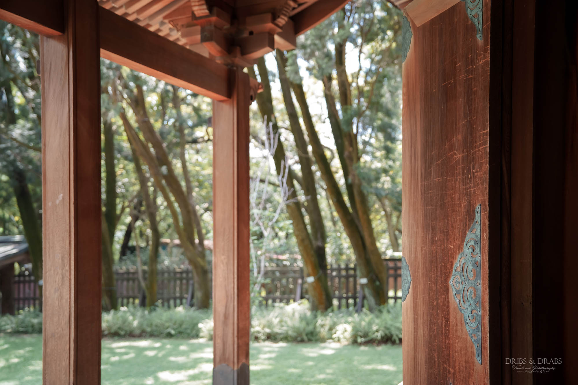 桃園神社、桃園忠烈祠暨神社文化園區｜全台保存最完整的日式神社景點，穿越昭和時代的歷史文化秘境