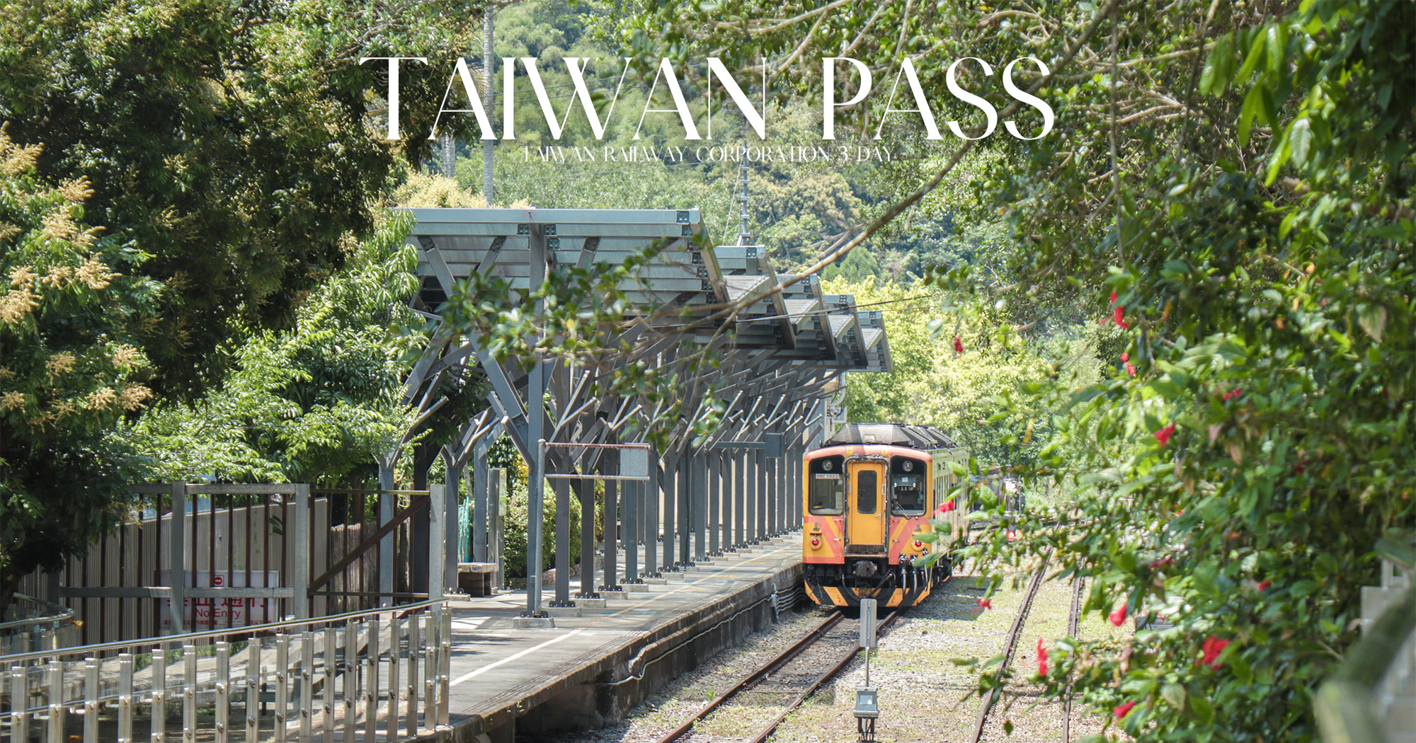 Taiwan PASS 台鐵版攻略｜3天無限搭乘台鐵超划算！環島旅行、花東縱谷慢旅都適用的超值交通票券
