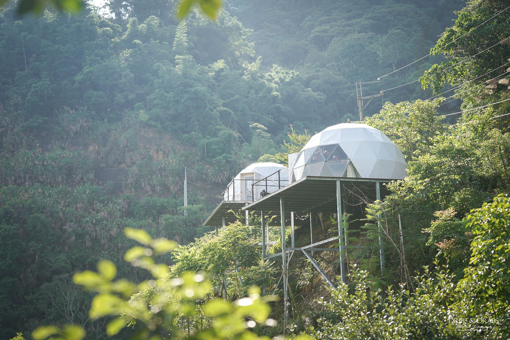 南投懶人露營推薦|森山谷一泊三食夢幻星空帳、露營車,親子寵物友善的森林系秘境營地 - 第2張圖 南投懶人露營推薦|森山谷一泊三食夢幻星空帳、露營車,親子寵物友善的森林系秘境營地