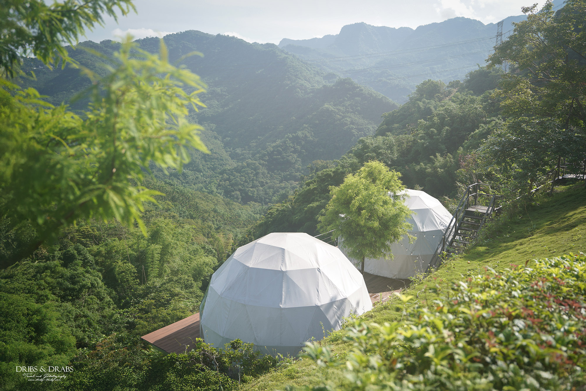 南投懶人露營推薦|森山谷一泊三食夢幻星空帳、露營車,親子寵物友善的森林系秘境營地 - 第4張圖 南投懶人露營推薦|森山谷一泊三食夢幻星空帳、露營車,親子寵物友善的森林系秘境營地