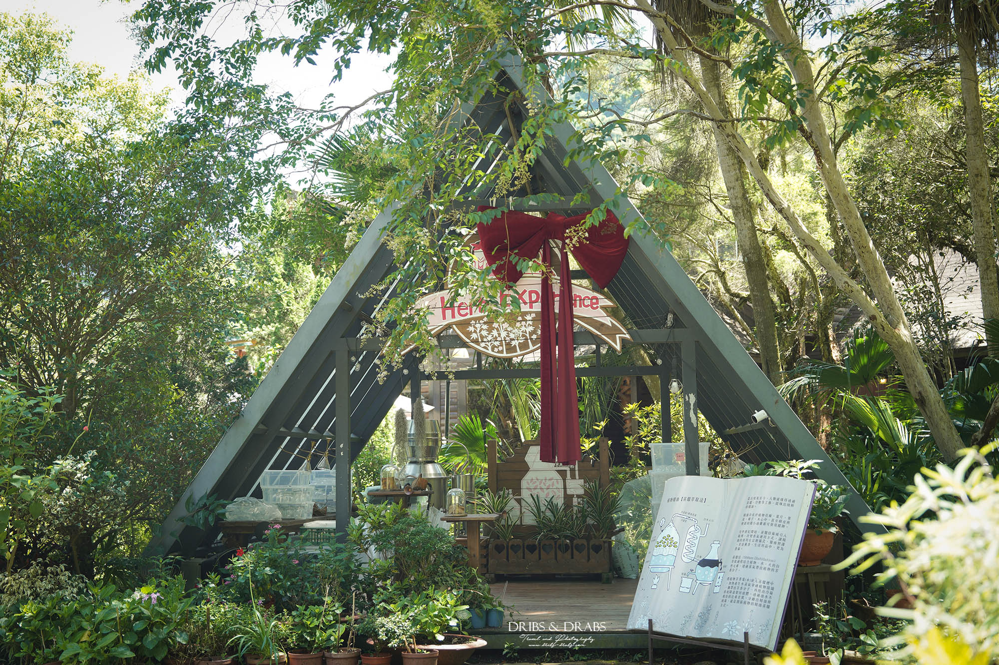 安妮公主花園｜台中新社最夢幻景觀餐廳！吉卜力童話木屋、香草體驗親子一日遊