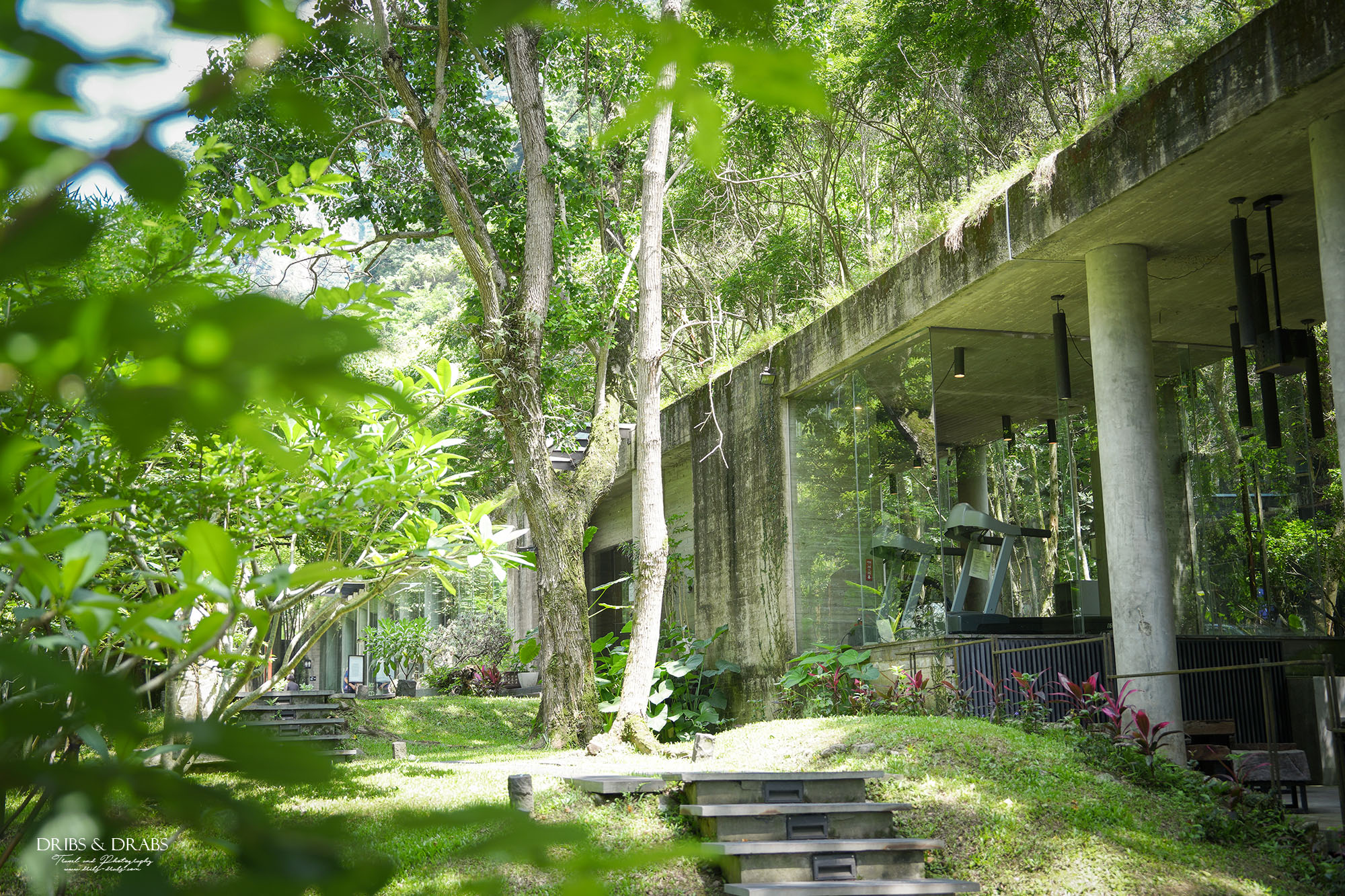 苗栗泰安觀止溫泉會館｜住進森林溪畔的五星級溫泉飯店，享受山林美人湯療癒時光