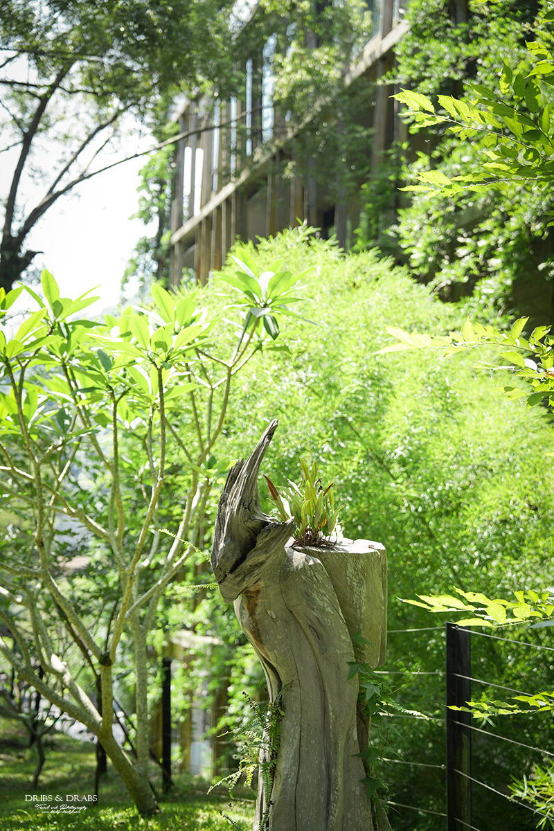 苗栗泰安觀止溫泉會館｜住進森林溪畔的五星級溫泉飯店，享受山林美人湯療癒時光