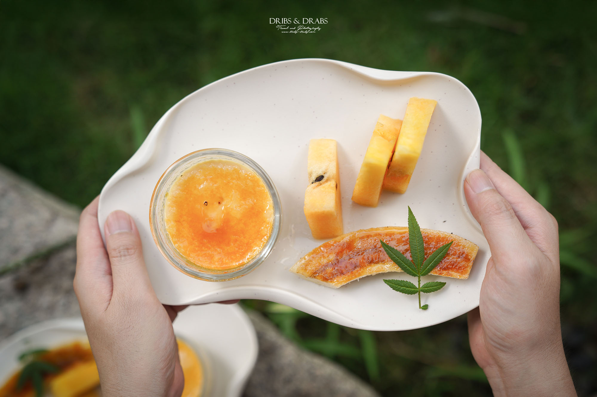 南投懶人露營推薦|森山谷一泊三食夢幻星空帳、露營車,親子寵物友善的森林系秘境營地 - 第15張圖 南投懶人露營推薦|森山谷一泊三食夢幻星空帳、露營車,親子寵物友善的森林系秘境營地