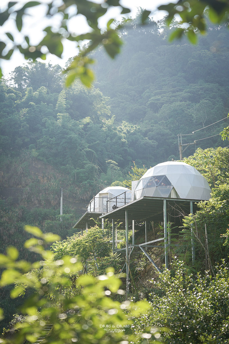 南投懶人露營推薦|森山谷一泊三食夢幻星空帳、露營車,親子寵物友善的森林系秘境營地 - 第54張圖 南投懶人露營推薦|森山谷一泊三食夢幻星空帳、露營車,親子寵物友善的森林系秘境營地
