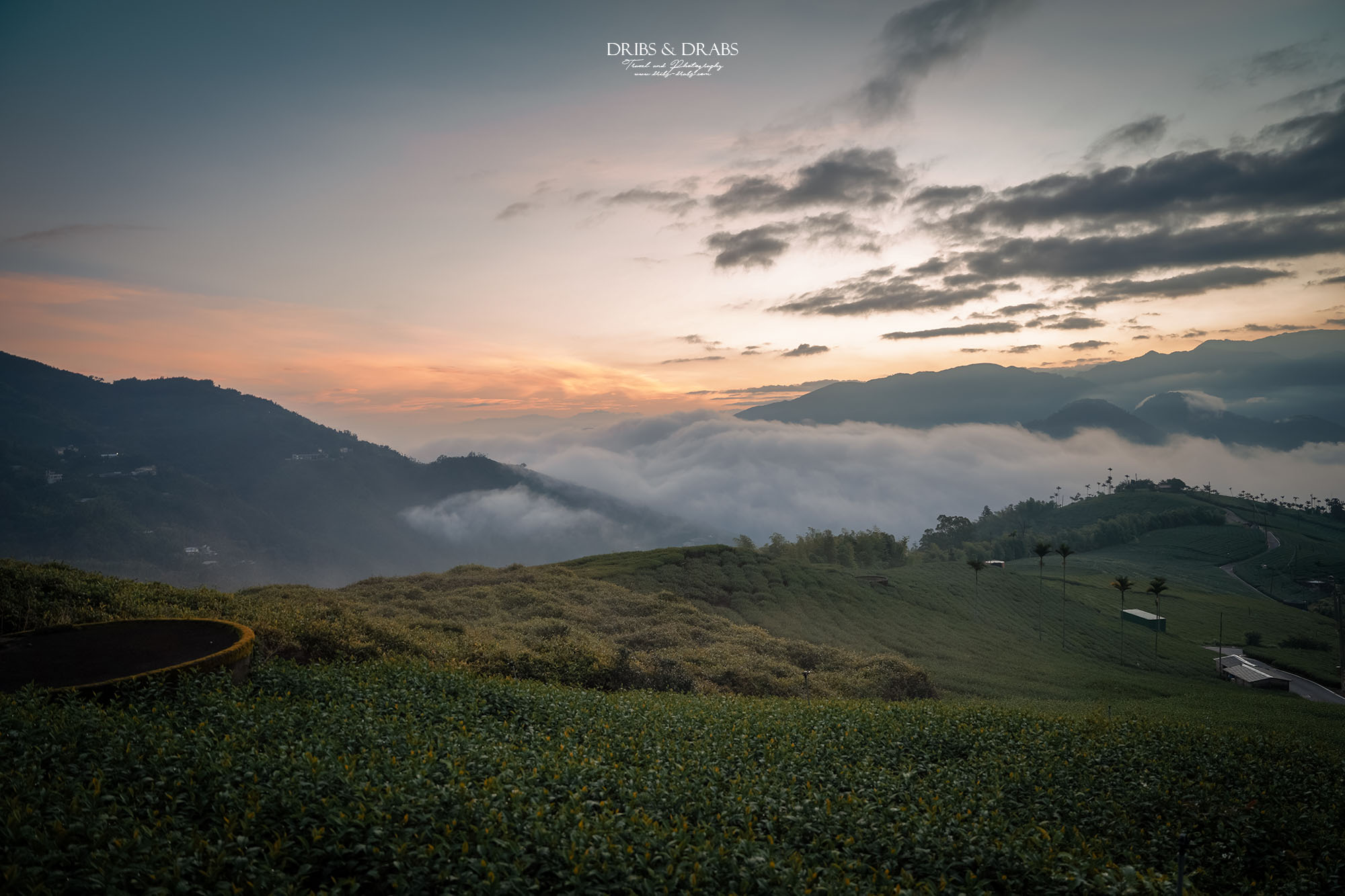 碧湖山觀光茶園｜嘉義梅山景點推薦，日出、雲海與茶園美景，阿里山秘境觀景台、攝影點
