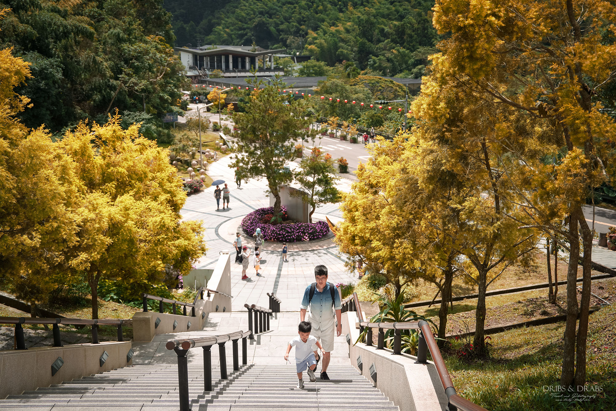 嘉義梅山一日遊推薦｜太平雲梯、太平老街、竹筒烤茶、太興飛瀑步道親子景點