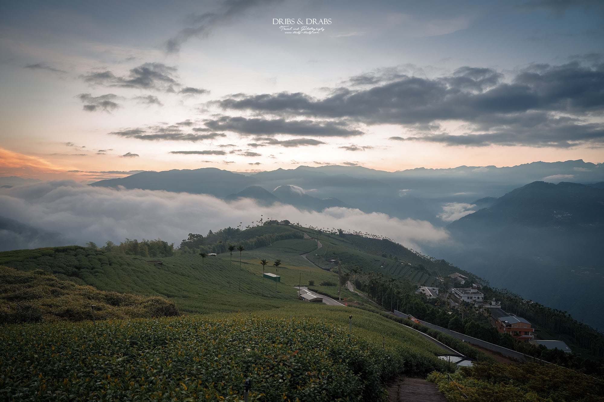 碧湖山觀光茶園｜嘉義梅山景點推薦，日出、雲海與茶園美景，阿里山秘境觀景台、攝影點