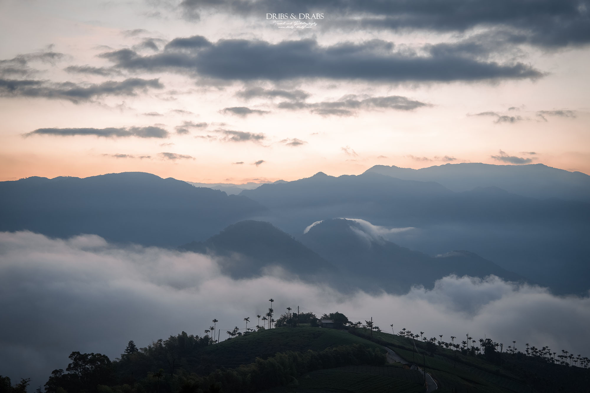 碧湖山觀光茶園｜嘉義梅山景點推薦，日出、雲海與茶園美景，阿里山秘境觀景台、攝影點