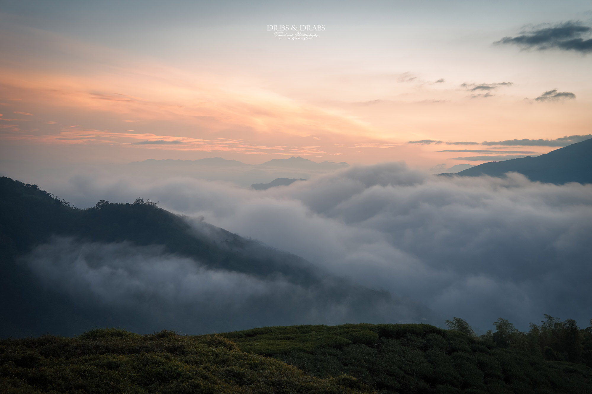 碧湖山觀光茶園｜嘉義梅山景點推薦，日出、雲海與茶園美景，阿里山秘境觀景台、攝影點