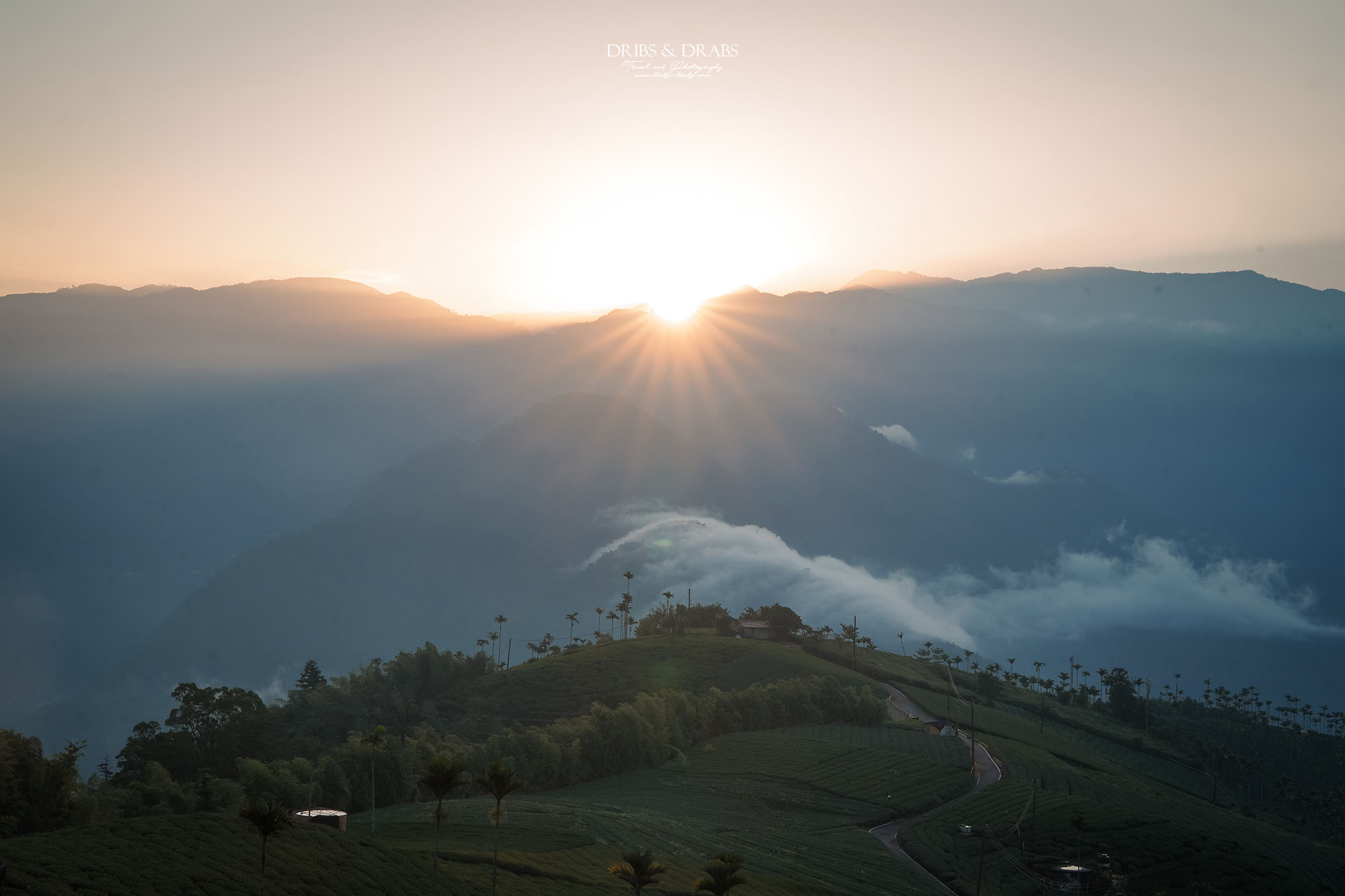 碧湖山觀光茶園｜嘉義梅山景點推薦，日出、雲海與茶園美景，阿里山秘境觀景台、攝影點