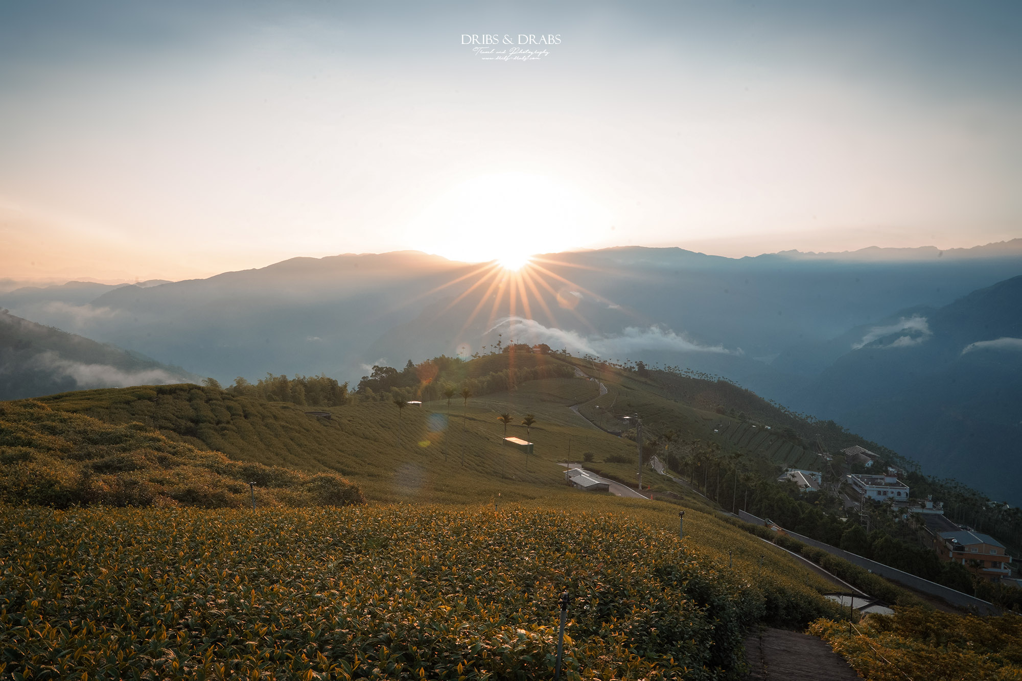 碧湖山觀光茶園｜嘉義梅山景點推薦，日出、雲海與茶園美景，阿里山秘境觀景台、攝影點