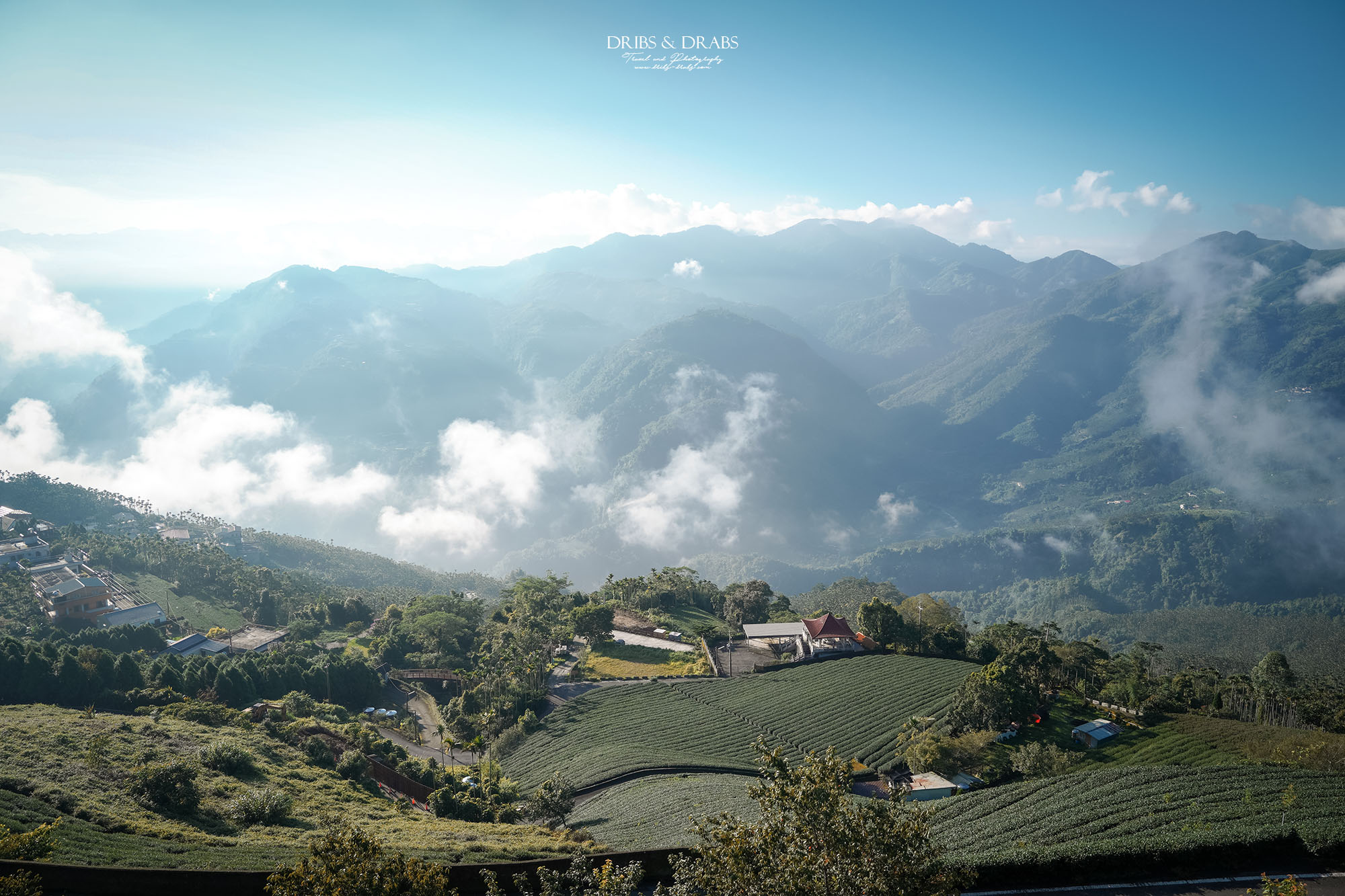 碧湖山觀光茶園｜嘉義梅山景點推薦，日出、雲海與茶園美景，阿里山秘境觀景台、攝影點