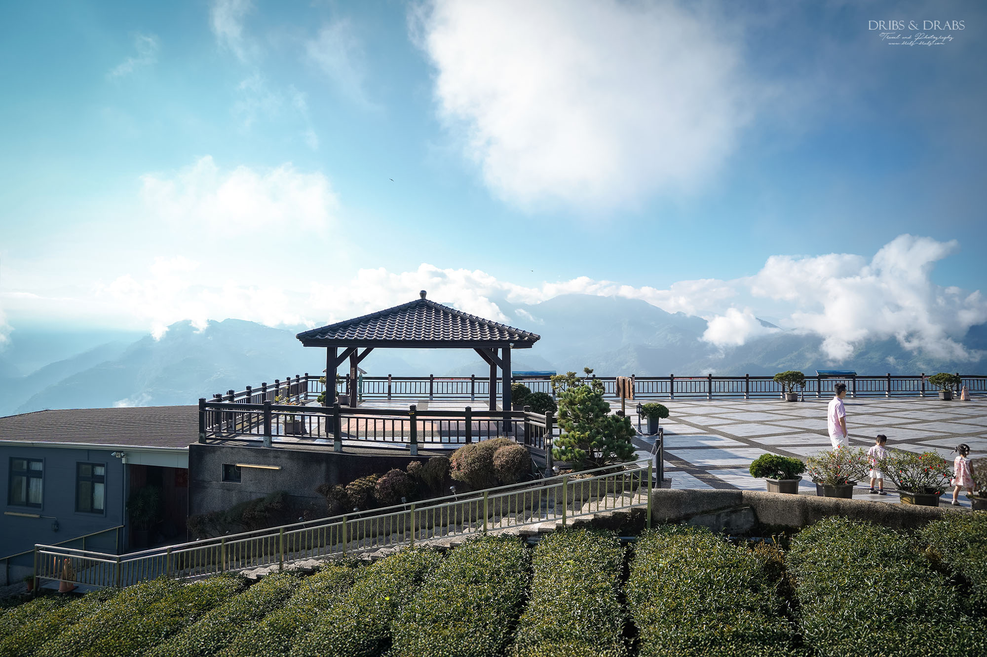 碧湖山觀光茶園｜嘉義梅山景點推薦，日出、雲海與茶園美景，阿里山秘境觀景台、攝影點