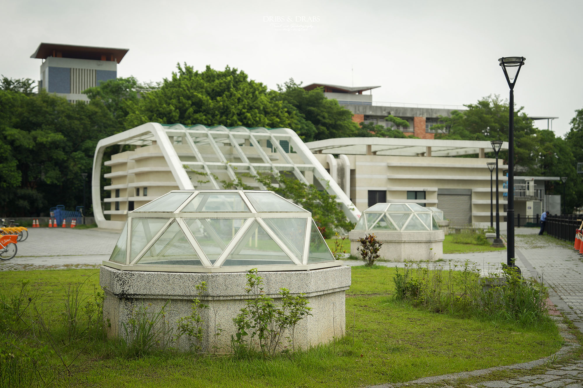 桃園大樹林滯洪池水的秘密基地｜神聖莊嚴的地下宮殿，免費導覽預約攻略與參觀心得