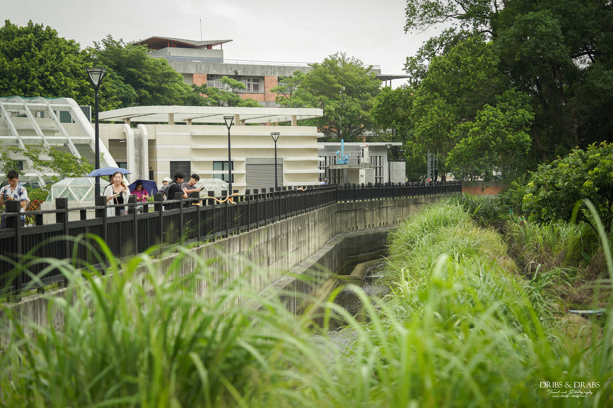 桃園大樹林滯洪池水的秘密基地｜神聖莊嚴的地下宮殿，免費導覽預約攻略與參觀心得