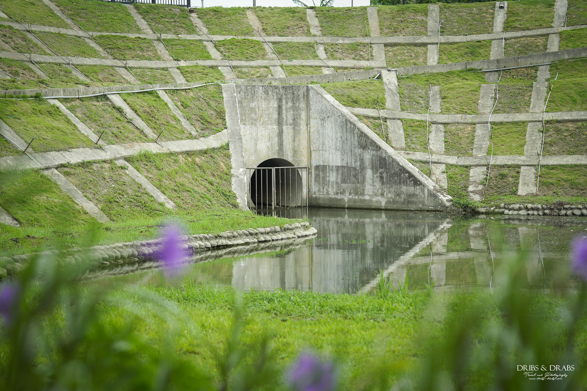 桃園大樹林滯洪池水的秘密基地｜神聖莊嚴的地下宮殿，免費導覽預約攻略與參觀心得